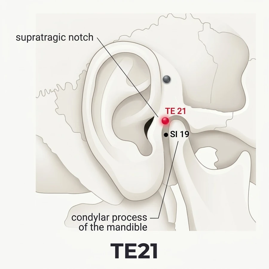 Location of Ermen (SJ-21): The written location is summarised from the classical record; use the strongest named.