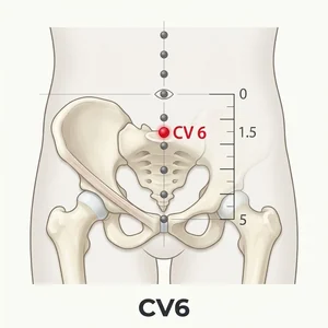Qihai acupoint diagram