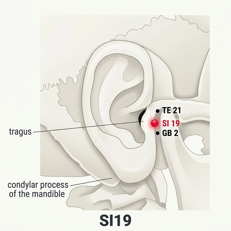 Location of Tinggong (SI-19): The written location is summarised from the classical record; use the strongest named.
