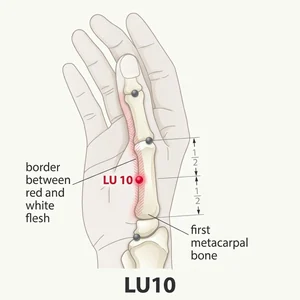 Yuji acupoint diagram