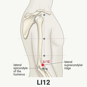 Zhouliao acupoint diagram