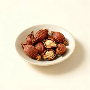Zhi Zi